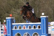 IMG_0264