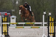 IMG_0084