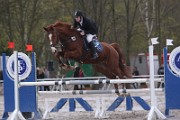 IMG_0328