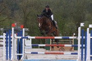 IMG_0008