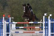 IMG_0087