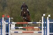 IMG_0116