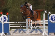 IMG_0084