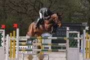IMG_0038