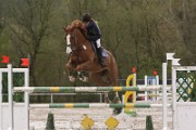 IMG_0054