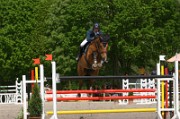 03_IMG_0029