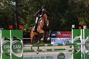 11_IMG_0036