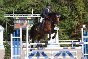 12_IMG_0008