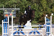 12_IMG_0010