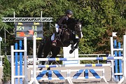 12_IMG_0011