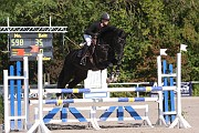 12_IMG_0015