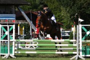 08_IMG_0090