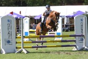16_IMG_0010
