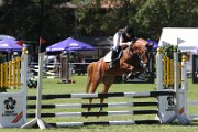 16_IMG_0019