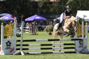 16_IMG_0033