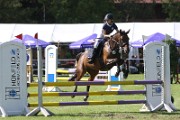 16_IMG_0042