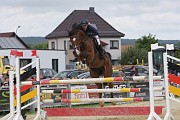 12_IMG_0016