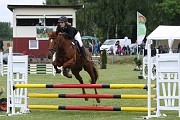 17_IMG_0031