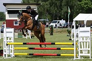 17_IMG_0062