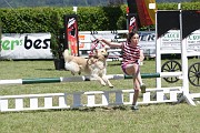 25_IMG_0011