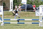 25_IMG_0020