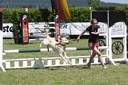 25_IMG_0050