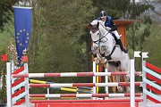 03_IMG_0010