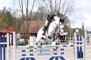 04_2_IMG_0008