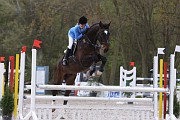 12_IMG_0115