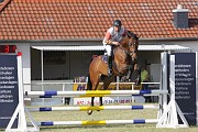 IMG_0008