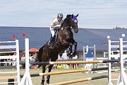 IMG_0012