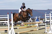 IMG_0015