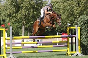 12_IMG_0004