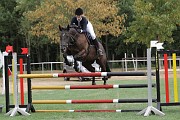 14_IMG_0010