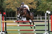 14_IMG_0012