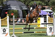 04_IMG_0019