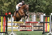 07_IMG_0018