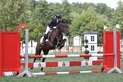 17_IMG_0008