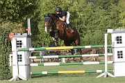 01_s_IMG_0008