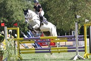 05_IMG_0008