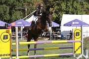 08_IMG_0017
