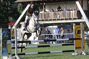 10_IMG_0016