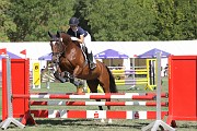 18_IMG_0007