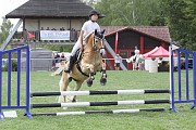 11_IMG_0017