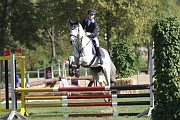 06_IMG_0015