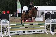 17_IMG_0010