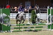 19_IMG_0006