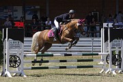 13_IMG_0034