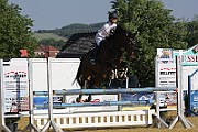 IMG_0017