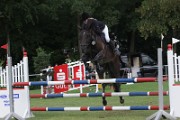 08_IMG_0016
